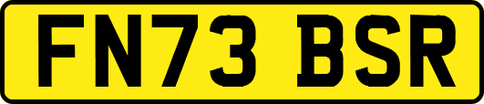 FN73BSR