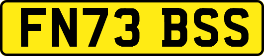 FN73BSS