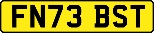 FN73BST