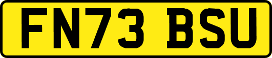FN73BSU