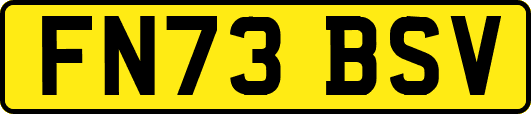 FN73BSV