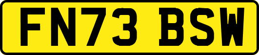 FN73BSW