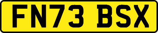 FN73BSX