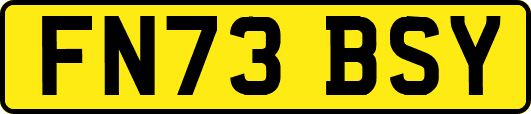 FN73BSY