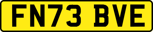 FN73BVE