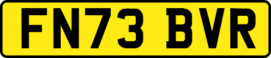 FN73BVR