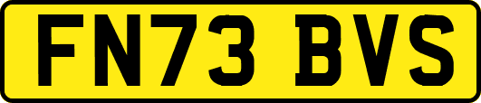 FN73BVS