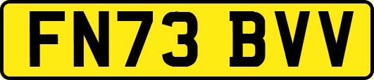 FN73BVV