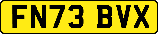FN73BVX