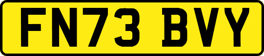 FN73BVY