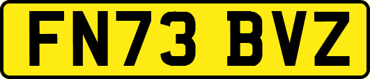 FN73BVZ