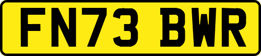 FN73BWR