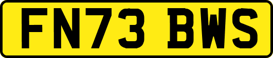 FN73BWS