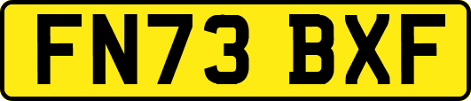 FN73BXF