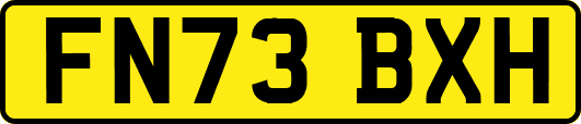 FN73BXH