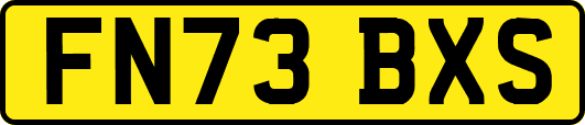 FN73BXS