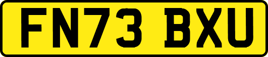 FN73BXU