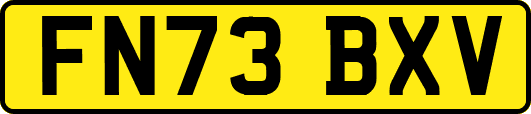 FN73BXV