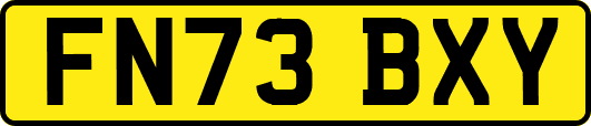 FN73BXY