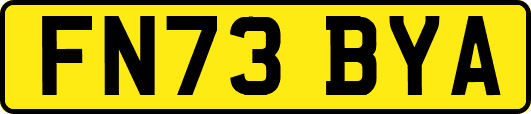 FN73BYA