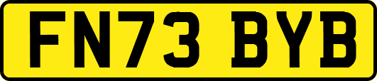 FN73BYB