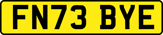FN73BYE