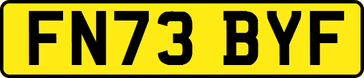 FN73BYF