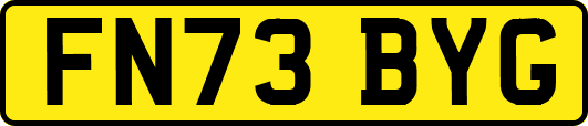FN73BYG