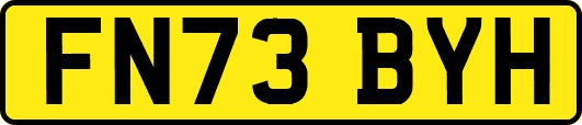 FN73BYH