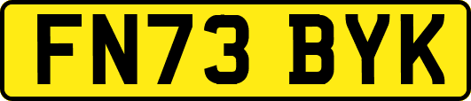 FN73BYK