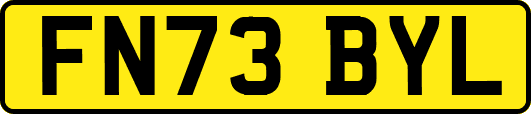 FN73BYL