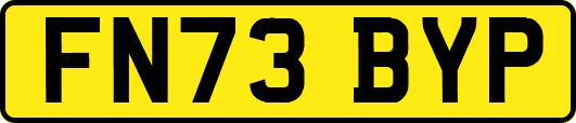 FN73BYP