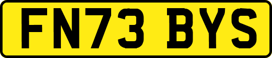 FN73BYS