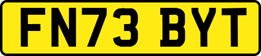 FN73BYT