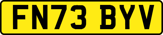 FN73BYV