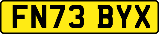 FN73BYX