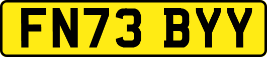 FN73BYY