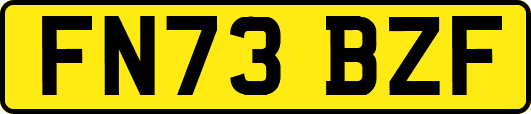 FN73BZF