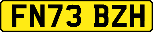 FN73BZH