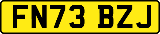 FN73BZJ