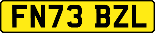 FN73BZL