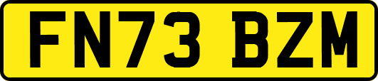 FN73BZM