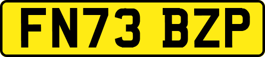 FN73BZP