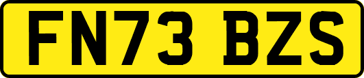 FN73BZS