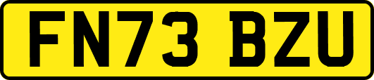 FN73BZU