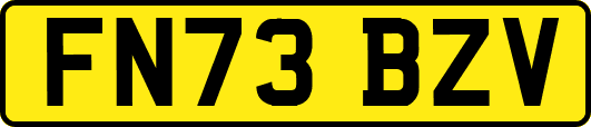 FN73BZV