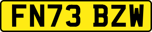 FN73BZW