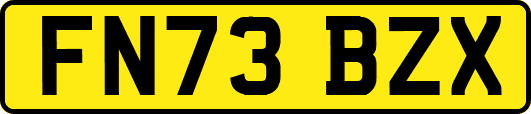 FN73BZX