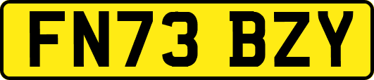 FN73BZY