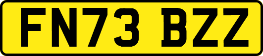 FN73BZZ